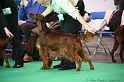 Crufts2011 015